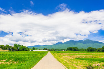 農道に走る真っすぐな道と八ヶ岳