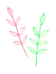 Illustration of green and pink plants hand drawn with colored pencils on white background