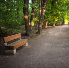 Pathway with bench at Normafa, Budapest