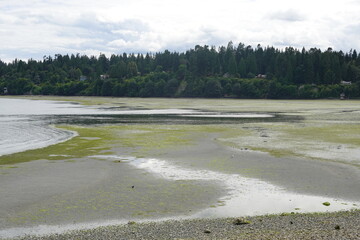 Point White Dock - Bainbridge Island - Washington