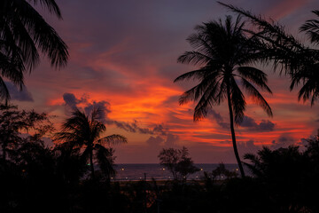 Tropikalny zachód słońca pod palmami w Tajlandii. Egzotyczne krajobrazy i dzika roślinność.  © anettastar