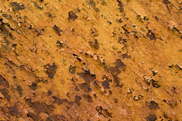 Abstract background illustration, modern hipster futuristic fractal flame graphic. colorful surreal poster, banner