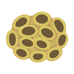 yellow seaweed sealife