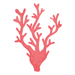 red seaweed sealife