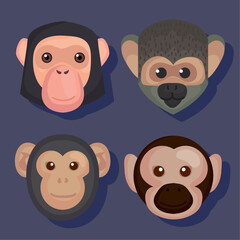 Fototapeta premium four monkey animals heads