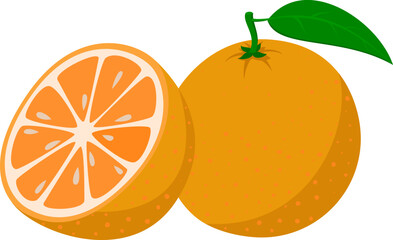 Fresh orange. Whole orange fruits and an orange cut in half. Cartoon style. vector illustration isolated on a white background