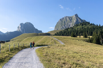 hiking in the mountains under blue sky in fresh air