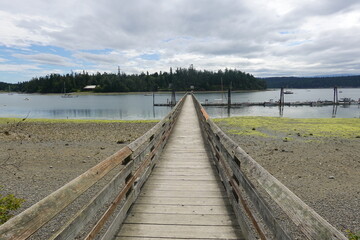 Obraz premium Marrowstone Island - Washington, USA