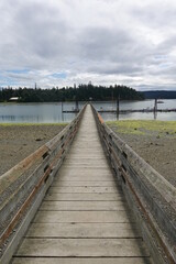 Fototapeta premium Marrowstone Island - Washington, USA