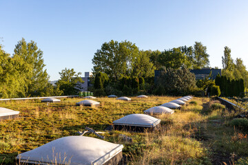 Greenroof with rooflights and trees on the roof, middle in the industry a place to be under blue sky