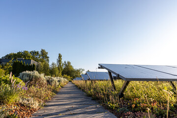 Solar moduls on a flat roof, green roof, blue sky, photovoltaic, powerstation, selfmade power