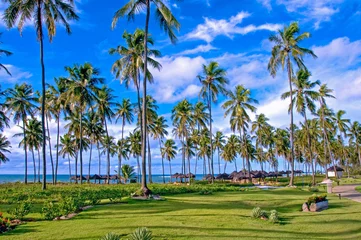 Foto op Canvas Beach and coconuts trees at Sauipe Coast, on the northern coast of the state of Bahia. The entire area is filled with hotels and resorts , which form the largest tourist complex in Brazil. August 2018 © Wagner