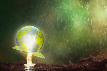 Renewable Energy. Environmental protection, renewable, sustainable energy sources. The light bulb...