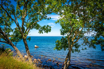 Fototapete bei efototapeten.de bestellen   