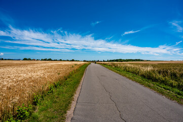 Landstraße auf Fehmarn