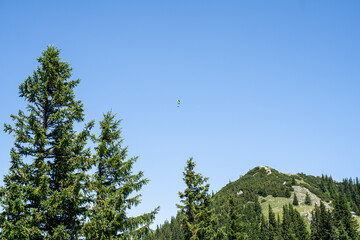 Gleitschirm fliegen am Wallberg Tegernsee in Bayern an einen Sommertag mit strahlendem Sonnenschein