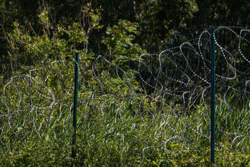 Fence with razor wire in sunny day.