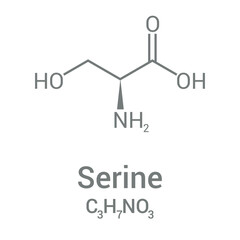 chemical structure of Serine (C3H7NO3)