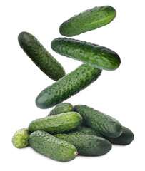 Fresh green cucumbers falling on white background