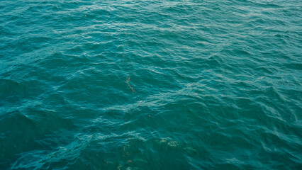 Obraz premium water in the sea