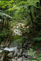 Rottach Wasserfall im bayerischen Wald am Tegernsee in Bayern