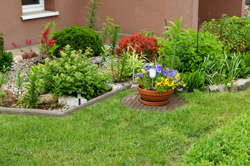 Beautiful flowerbeds with different plants outdoors. Gardening and landscaping
