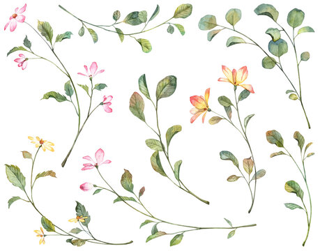 Big set with watercolor botanical illustrations isolated on white background. Hand painted pink and yellow flowers and withered leaves