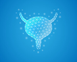 Bladder low poly symbol with white connected dots. 3d geometric polygonal Organ anatomy. Reproductive system, transplantation design illustration.
