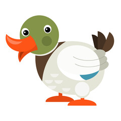 Cartoon happy farm animal cheerful duck illustration