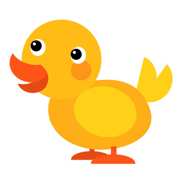 Cartoon happy farm animal cheerful duck illustration