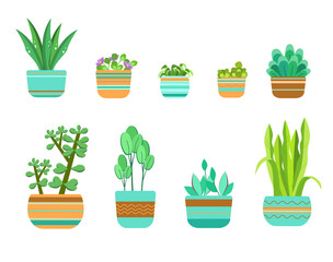 Set with home floral