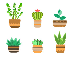 Set with home plants and cacti
