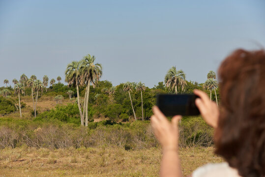 Unrecognizable woman taking photos with her phone in El Palmar National Park, Entre Rios, Argentina. Focus on the background. Concepts: nature travel, enjoying the outdoors, active life.
