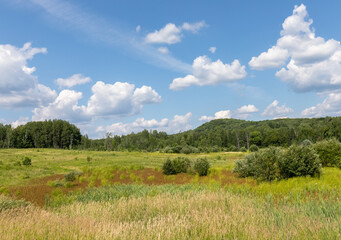 Green Ontario countryside near Huntsville Ontario under blue sky in summer.