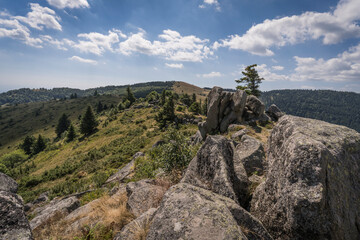 Fototapeta premium landscape view in the vosges mountains