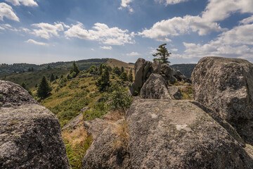 landscape view in the vosges mountains