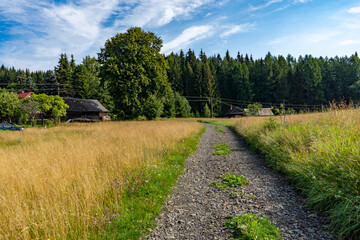 Fototapeta na wymiar picturesque view to a dirt road somewhere on an abandoned place in the mountains, sunrise scenery, no people, copy space, Slovakia, Europe