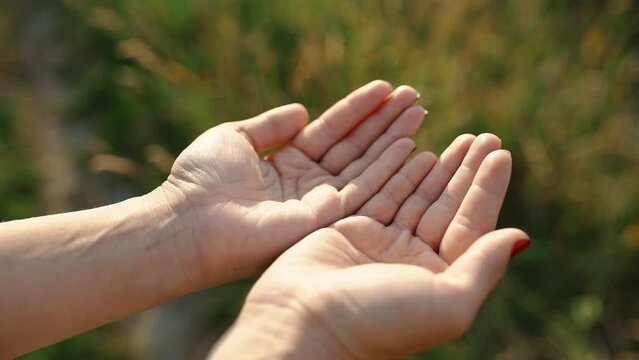 Top view of folded female hands that open
