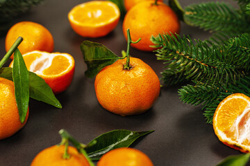 Tangerines (oranges, mandarins, clementines, citrus fruits) with leaves and fir tree branches