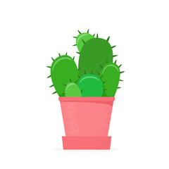 Cactus in a flat style. Home cacti in flower pot. House succulent. Vector illustration
