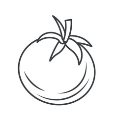 Tomato minimalist icon