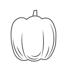 Pumpkin minimalist icon