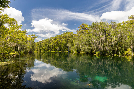 Photo of the Silver River on a beautiful sunny summer day in Florida