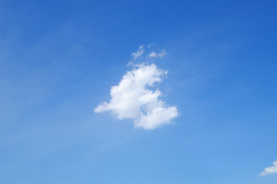 Little white cloud looks alike puppy on the blue sky