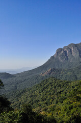 Scenic train journey from Curitiba to Morretes, Paraná, Brazil, with a stunning view of Serra do Mar mountains and lush Atlantic Forest