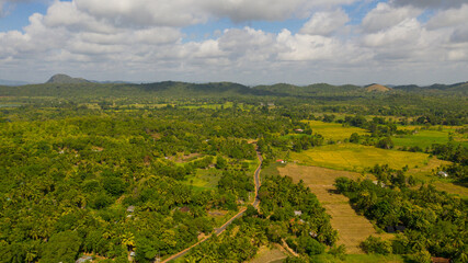 Fototapeta na wymiar Agricultural land in the mountains among the jungle and rainforest.Sri Lanka.
