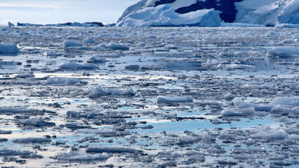 Small icebergs and sea ice floating in Cierva Cove, Antarctica