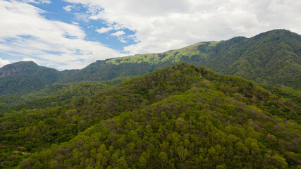 Mountains with rainforest and jungle in the mountainous province of Sri Lanka.