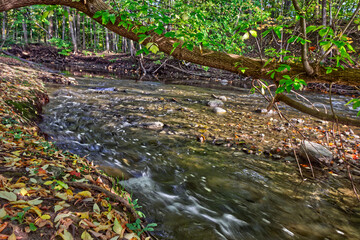 Obraz premium Gushing river makes a fork with beautiful fall foliage - Fall in Central Ontario, Canada