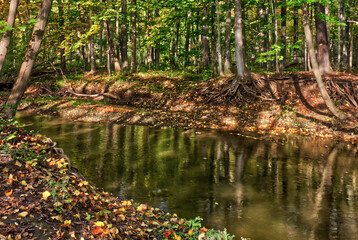 Obraz premium Quieter and deeper river decorated by fall foliage on the banks - Fall in Central Ontario, Canada